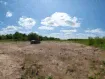 городской округ Бор, деревня Каликино, микрорайон Белый Аист, микрорайон Белый Аист земельный участок 36 соток