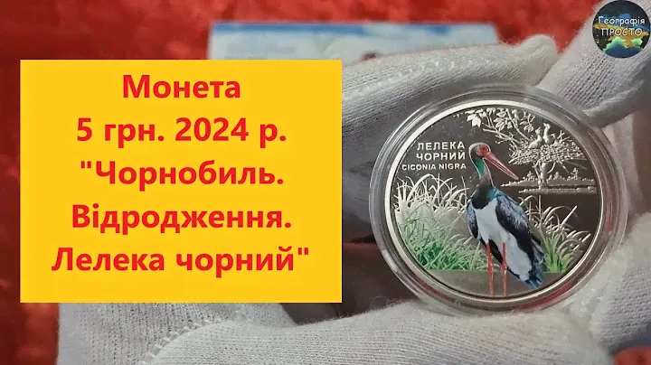 Монета 5 грн.2024 р.Чорнобиль.Відродження. Лелека чорний