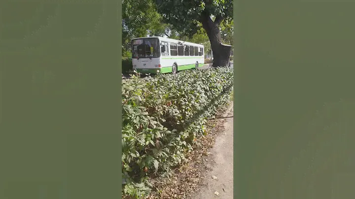 ЛиАЗ 5256 м-т 121 #видео #хочуврек #автобус